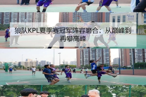 狼队KPL夏季赛冠军阵容磨合：从巅峰到再攀高峰