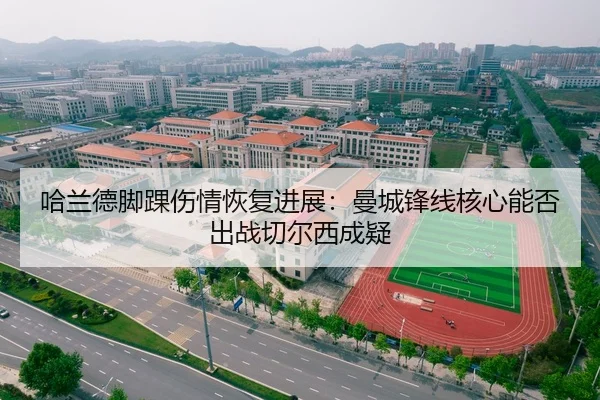 ha-lan-de-jiao-huai-shang-qing-hui-fu-jin-zhan-man-cheng-feng-xian-he-xin-neng-fou-chu-zhan-qie-er-xi-cheng-yi-3-201.jpg