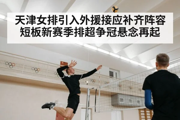 天津女排引入外援接应补齐阵容短板新赛季排超争冠悬念再起